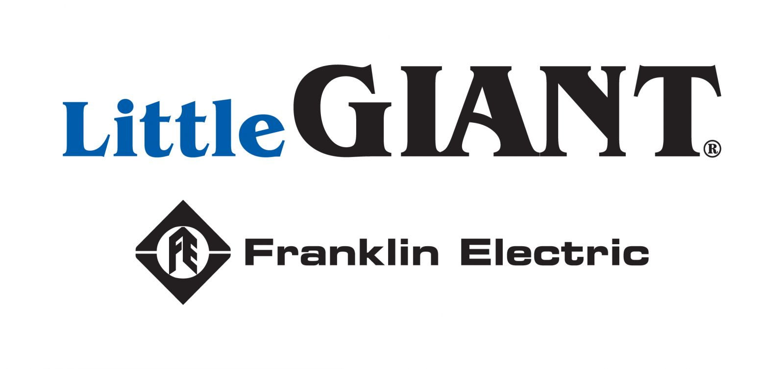 LittleGiant.jpg